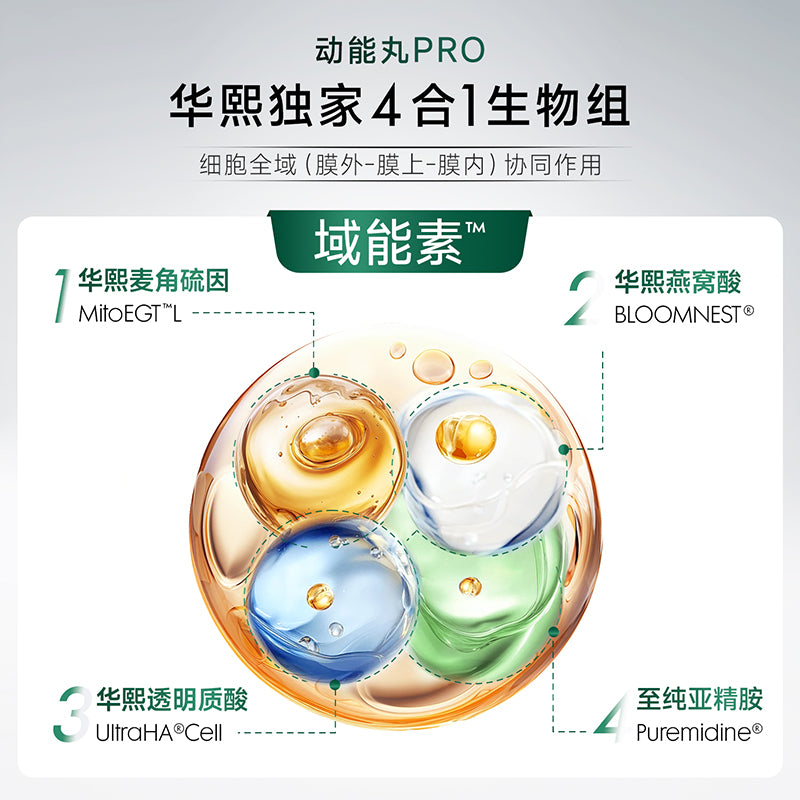 华熙当康【动能丸pro】